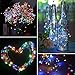 Twinkle Star 33ft 100LED Copper Wire String Lights (100 LED Copper Wire String Lights, Multi-Color)