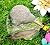 Kiwibird Newzealand 3d New Fridge Magnet Landmark Souvenir Ceramic Resin Gift