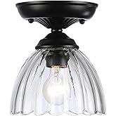 Audra 1-Light in Matte Black with Clear Glass