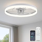 Fszdorj 20‘’ Ceiling Fan with Light, Upgraded