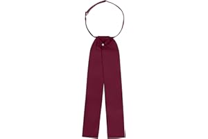 S.H. Churchill & Co. Men's Ascot Tie