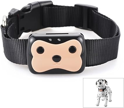 Xcsource Traceur Gps Gsm Chien Chat Suivi En Temps Reel Collier De Surveillance A Distance Collier Etanche Os676 Amazon Fr Informatique