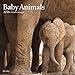 2016 BABY ANIMALS Wall Calendar