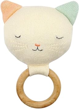 blue heeler show dog