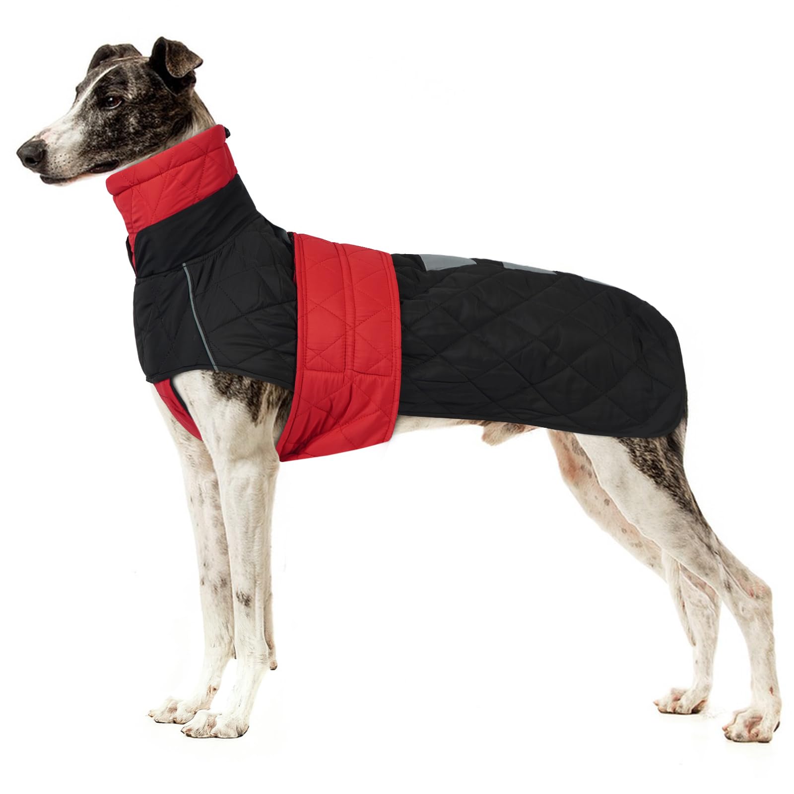 Manteau d'hiver Salukis, Blouson Veste Chaude d'hiver Vêtements Hiver Grande Chien Levrier Combinaison de Ski Veste Hiver