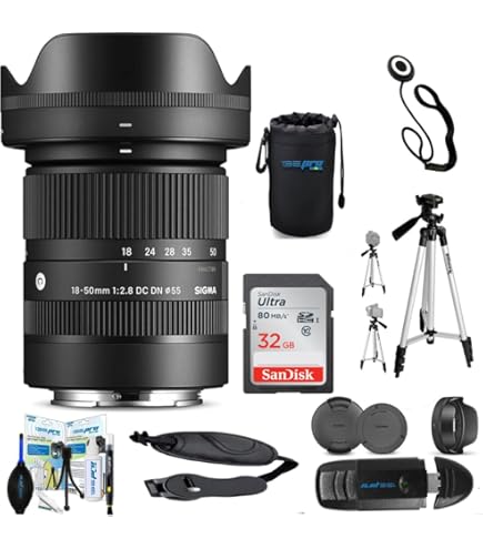 Amazon.com : Sigma 18-50mm f2.8 DC DN Contemporary Lens for Sony E