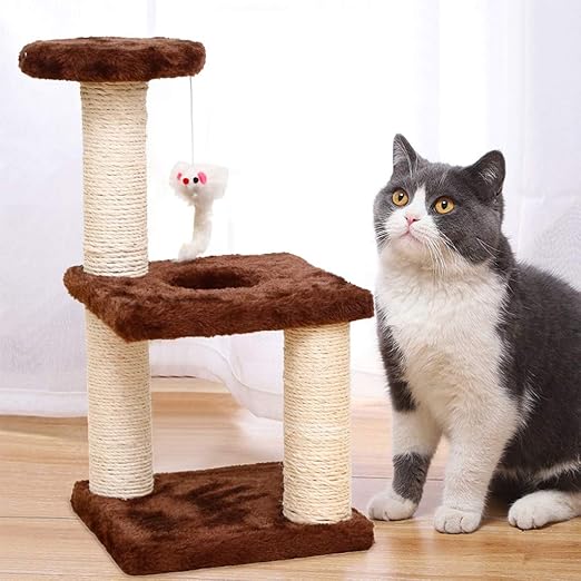 cat climbing tower amazon