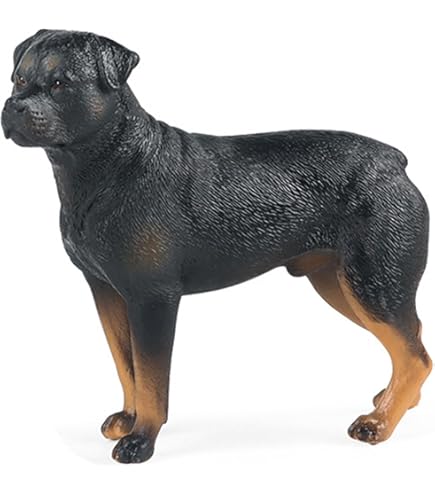 (未使用･未開封品)　CollectA Rottweiler Figure ar3p5n1 Amazon.com: CollectA Rottweiler Figure : Toys & Games