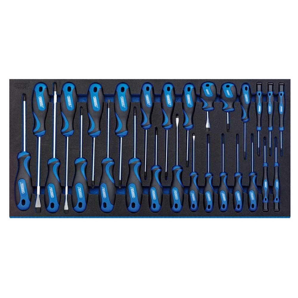 Draper 27-Piece Screwdriver Set | Soft Grip Hand Tools | Eva Insert Tray | Chrome Vanadium Steel | Sand Blast Finish Tips | Home DIY and Professional | 63406