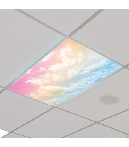 Treela 2 Pcs Fluorescent Light Covers For Classroom Ceiling Lights With