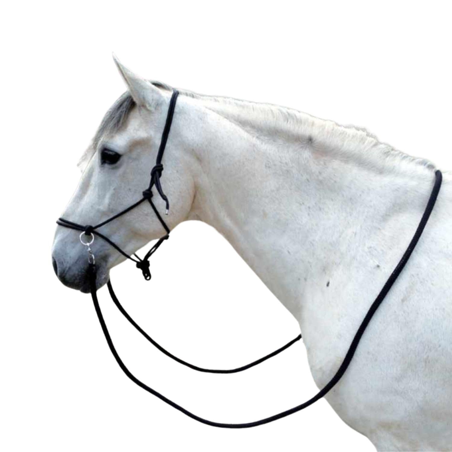 Knot halter with reins black for training, floor work, longeing or riding, halfter biteless, bitless