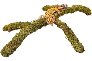 Jinymral Leopard Gecko Tank Accessories, Adjustable Climbing Toys Supplies, Terrarium Habitat Decor