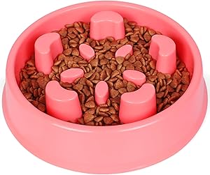 JASGOOD Slow Dog Bowl,Fun Slow Feeder Dog Bowl,Anti-Gulping Dog Slow Feeder Stop Bloat,Slow Eating Dog Bowl