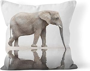 Wesbin Throw Pillow Cover Animal Drinking Elephant Loxodonta Africana Jungle Water Healthcare Oasis Wild Snout New Living Hidden Zipper Home Sofa Decorative Cushion 20x20 Inch Square Design Print
