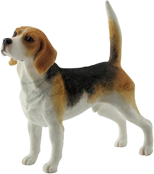 beagle dog