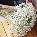 Mchoice Artificial Gypsophila Flower Fake Silk Wedding Party Bouquet Home Decor
