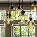 6-Pack Vintage Edison Light Bulbs, 40W E26/E27 Base Dimmable Replacement Vintage Incandescent Light Bulbs, Antique Squirrel Cage Lights, 110V, Pendant Ceiling Chandelier Antique Exposed Filament, HOM