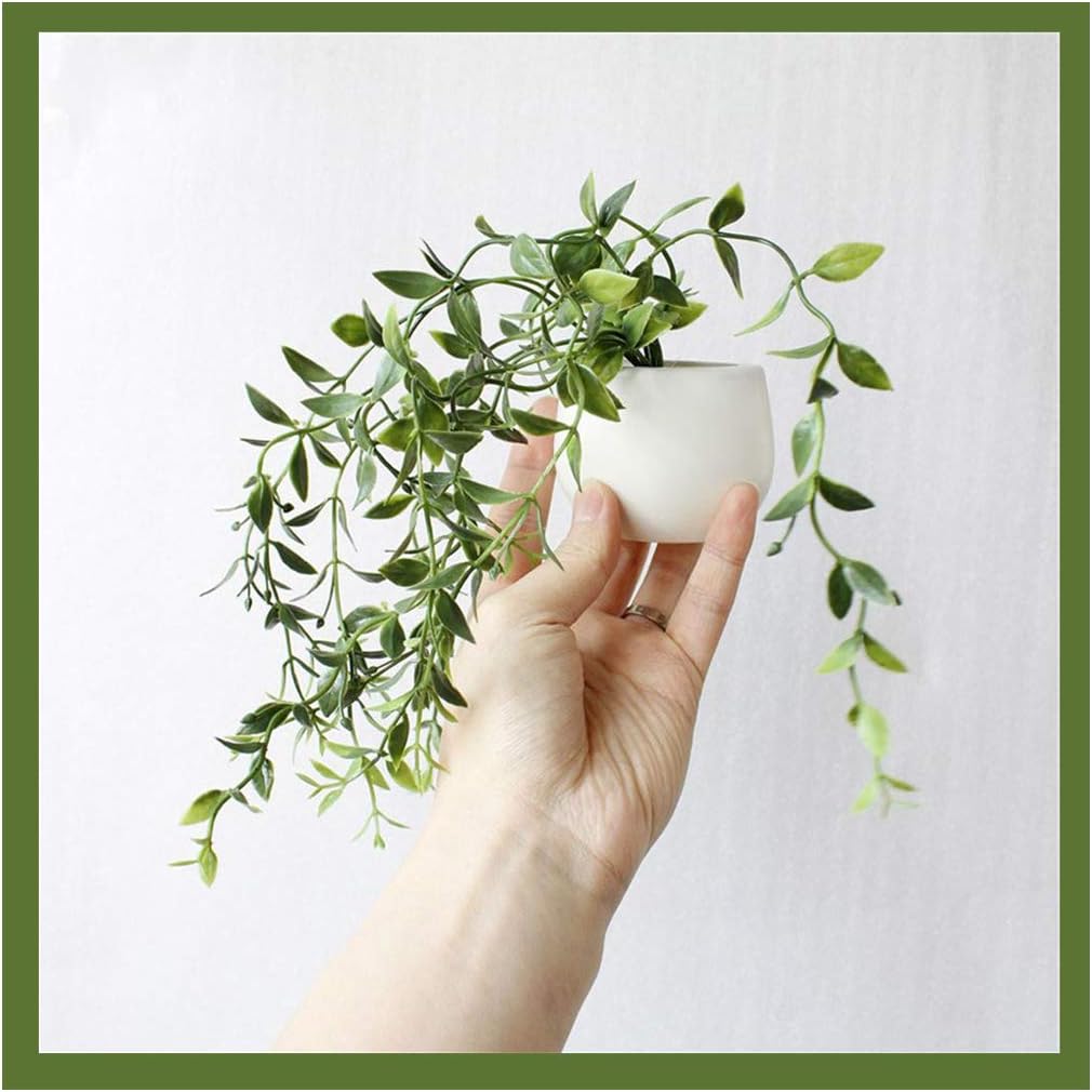 Which Is The Best Magnetic Refrigerator Paste