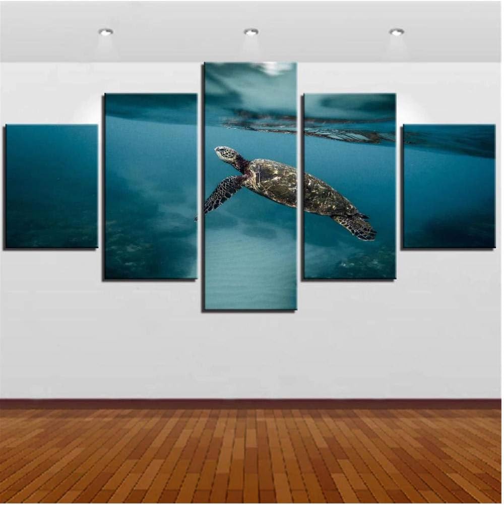 10 Mejores Sona Seca Con Piedras Para Tortugas 2020