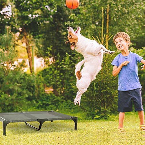 ANWA Elevated Dog Bed Large, Cooling Raised Dog Bed Outdoor & Indoor