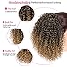 Vigorous Afro Kinky Curly Drawstring Ponytail Extension with Curly Ponytail Hair Piece for Black Women Ombre Blonde Synthetic Hairpiece(1-27#)