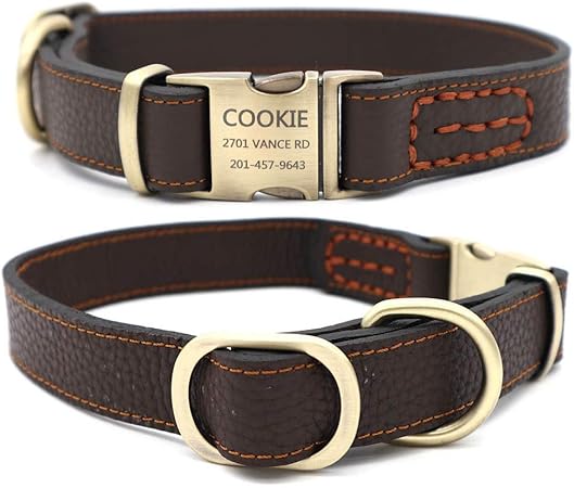 amazon dog collar with name