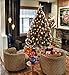 AMS 2.36''/60mm 24ct Christmas Balls Hollow Out Carved Tree Pendants Shatterproof Ornaments Seasonal Decorations for Wedding,Halloween,Party(Champagne)