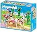 Playmobil Princess with Horse Carriage