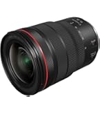 Amazon.com : Canon RF14-35mm F4 L is USM Lens, Wide-Angle