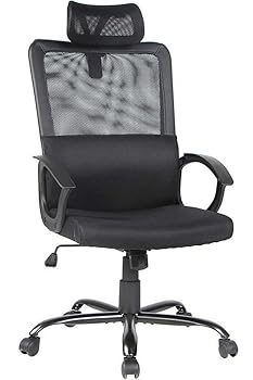 Smugdesk Ergonomic Office Chair