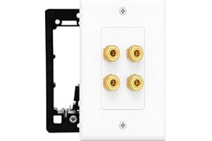 DIYTECH 2 Speaker Wall Plate, Home Theater Wall Plate, Gold Plated Binding Posts, for Home Theater Setup