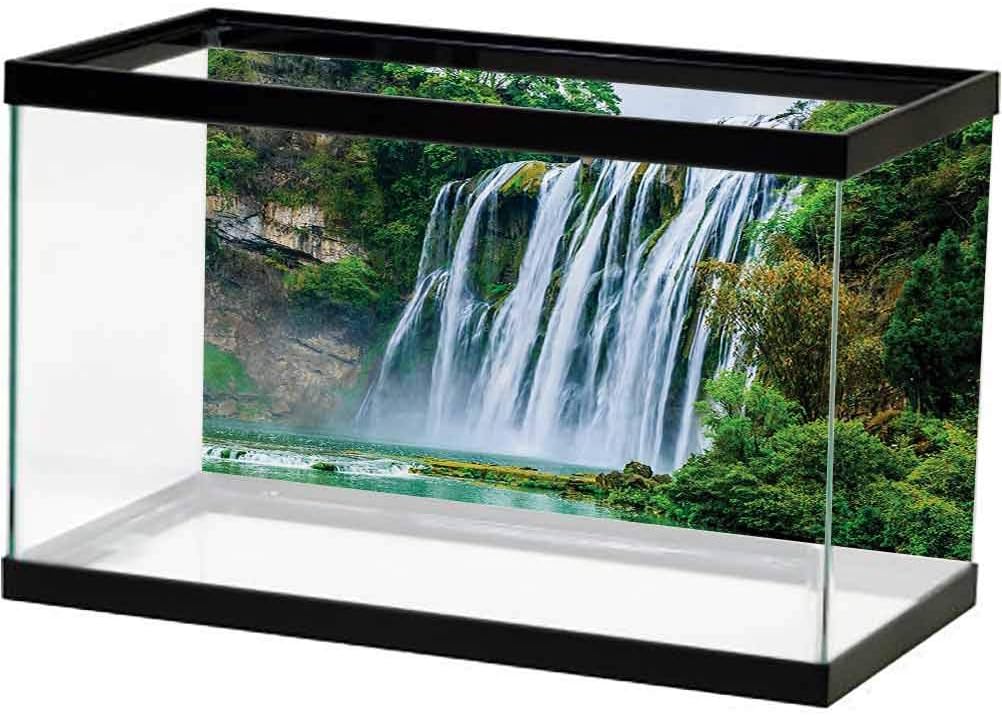 Waterfall Aquarium Background Amazon.com : ScottDecor Waterfall Aquarium Background Fish Tank