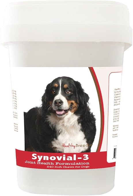 bernese mountain dog supplies