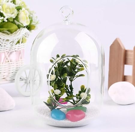 Garden Hanging Planter - Capsule