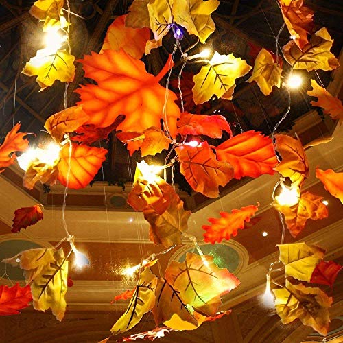 5 Pack Fall Maple Leaves String Light, 50 Feet 100 LED Light Fall Wreath Garland Decorations for Party Halloween Thanksgiving Harvest Autumn Indoor Outdoor Home Patio Garden Battery Powered by Qiwoo
