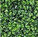 Naturalgarden Artificial Hedges Panels for Both Outdoor or Indoor, Garden, Fencing, Backyard and Home UV Resistant Decor 20