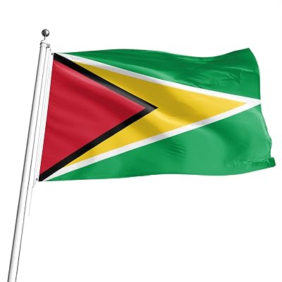 BigTree Guyana Flag 3x5ft 90x150cm Polyester Large Grommets Indoor Outdoor