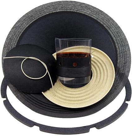 10 inch subwoofer recone kit
