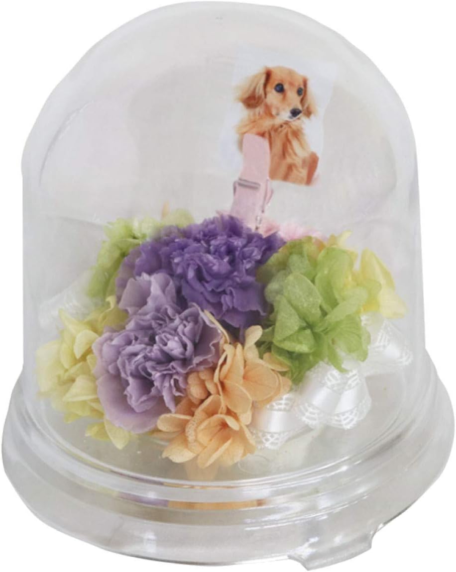 Amazon 花まりか ペット用お供え メモリーポット お悔み あんず プリザーブドフラワー オンライン通販