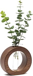 Propagation Glass Vase Planter Test Tube Vase Hydroponics Plants Flower Pots with Wooden Stand Flower Modern Decorative Planter Gardening Pot Home Decor Gift - Plants Not Included (Round, Brown)