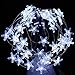 IMPRESS LIFE String Lights of Beach Theme Christmas, Starfish Decor Starry Night Lights 10ft 40LEDs with Remote and Timer for Indoor, Covered Outdoor, Camping, Nursery, Bedroom, Bathroom, Patio, Porch