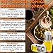 SONICA ORGANICS-Premium-Olive-Oil-Sprayer-Fine-Mister Glass Spray-Bottle 6 oz for Cooking, Baking, Roasting, Grilling, Frying, BBQ, Salads, BPA-Free, Vinegar Mister with Premium Anti-Clog Filter
