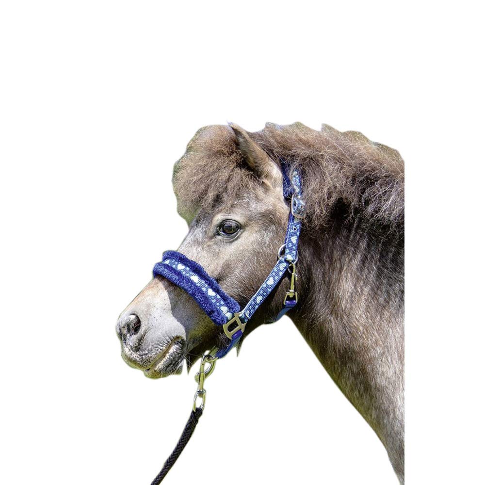 HKM Halter Blue Pony