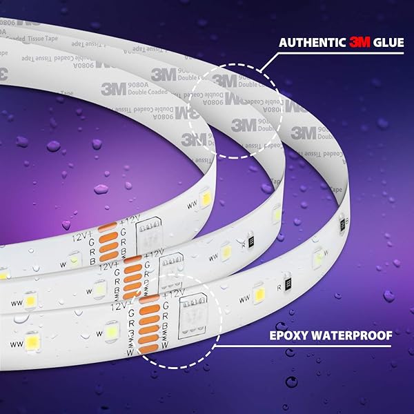 Tiras LED 5M 5050 RGB Blanco FroClido Wifi Inteligentes Impermeable IP65 Compatible con Alexa Google Home y App Smart Life Android iOS Multicolor LVWIT