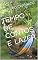 Livro TEMPO DE CONTOS E LAZER