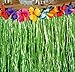 Playscene Tropical Party Decorations, Tiki Party Table Skirts, Tropical Palm Leaves for Luau Party (Hibiscus Table Skirt (1 Piece))