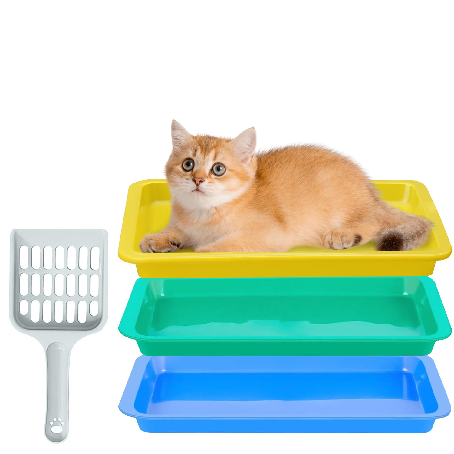 Photo 1 of 3 Pcs Kitten Litter Box,9.6"*7.2''*0.9'' Plastic Portable Small Litter Pan Low Entry Waterproof Bunny Cat Litter Box,Multi Color Nonstick Litter Tray Travel Toilet for Small Pet Guinea Pig Rabbit