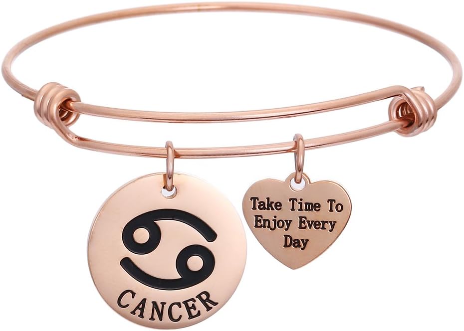 FOXJWEL Zodiac Jewelry Horoscope Constellation Wire Bangle Rose Gold Zodiac Charm Bracelet Birthday Gift