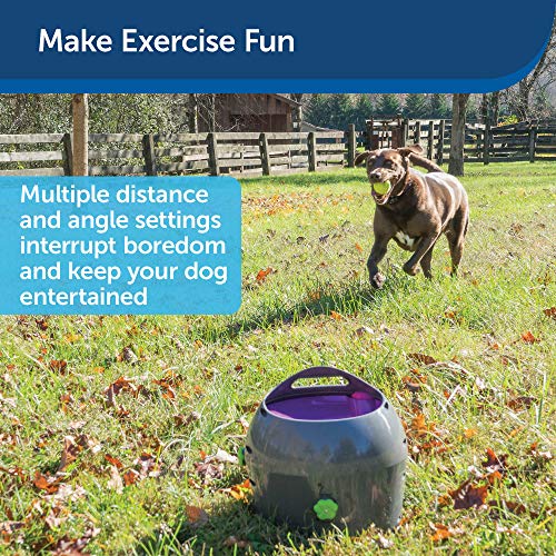 PetSafe Automatic Ball Launcher Dog Toy, Tennis Ball Throwing Machine for Dogs in Easy-Open Packagin - //coolthings.us