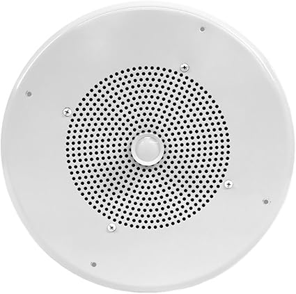 8 ohm ceiling speakers